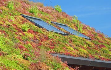 Kennet living roof systems