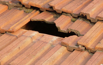 roof repair Kennet, Clackmannanshire