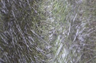 Kennet fibreglass roof work